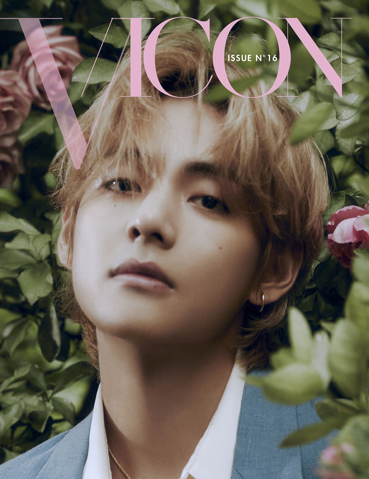 V - DICON ISSUE N°16 V : VICON