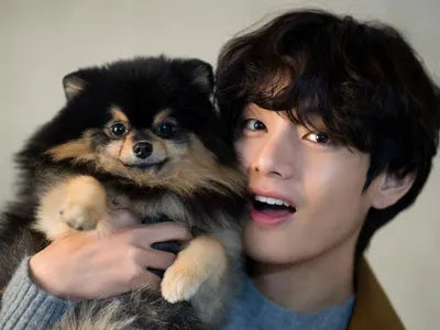 V 뷔